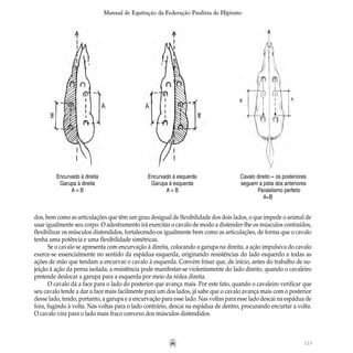 123
Manual de Equitação da Federação Paulista de Hipismo
	 Encurvado à direita	 Encurvado à esquerda	 Cavalo direito – os posteriores
	 Garupa à direita	 Garupa à esquerda	 seguem a pista dos anteriores
	 A > B	 A > B	 Paralelismo perfeito
			 A=B
dos, bem como as articulações que têm um grau desigual de flexibilidade dos dois lados, o que impede o animal de
usar igualmente seu corpo. O adestramento irá exercitar o cavalo de modo a distender-lhe os músculos contraídos,
flexibilizar os músculos distendidos, fortalecendo-os igualmente bem como as articulações, de forma que o cavalo
tenha uma potência e uma flexibilidade simétricas.
Se o cavalo se apresenta com encurvação à direita, colocando a garupa na direita, a ação impulsiva do cavalo
exerce-se essencialmente no sentido da espádua esquerda, originando resistências do lado esquerdo a todas as
ações de mão que tendam a encurvar o cavalo à esquerda. Convém frisar que, de início, antes do trabalho de su-
jeição à ação da perna isolada, a resistência pode manifestar-se violentamente do lado direito, quando o cavaleiro
pretende deslocar a garupa para a esquerda por meio da rédea direita.
O cavalo dá a face para o lado do posterior que avança mais. Por este fato, quando o cavaleiro verificar que
seu cavalo tende a dar a face mais facilmente para um dos lados, já sabe que o cavalo avança mais com o posterior
desse lado, tendo, portanto, a garupa e a encurvação para esse lado. Nas voltas para esse lado descai na espádua de
fora, fugindo à volta. Nas voltas para o lado contrário, descai na espádua de dentro, procurando encurtar a volta.
O cavalo vira para o lado mais fraco convexo dos músculos distendidos.
 