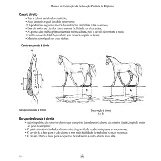 124
Manual de Equitação da Federação Paulista de Hipismo
Cavalo direito
• Tem a coluna vertebral reta retidão;
• Ação impulsiva igual dos dois posteriores;
• Os posteriores seguem a marca dos anteriores em linhas retas ou curvas;
• Executa voltas ou círculos com a mesma facilidade nas duas mãos;
• As pontas das orelhas permanecem na mesma altura, pois o cavalo não entorta a nuca;
• Facilita o assento total do cavaleiro sem deslocá-lo para os lados;
• Mantém apoio igual nas duas rédeas.
Garupa deslocada à direita
• Ação impulsiva do posterior direito que transpista lateralmente à direita do anterior direito, fugindo assim
	 ao peso do conjunto;
• O posterior esquerdo deslocado ao centro de gravidade recebe mais peso e avança menos;
• O cavalo dá a face para o lado direito e tem mais facilidade de trabalhar na mão esquerda;
• O cavalo entorta a nuca para a esquerda, ficando com a orelha direita mais alta.
Encurvação à direita
A > B
Garupa deslocada à direita
Cavalo encurvado à direita
B A
 