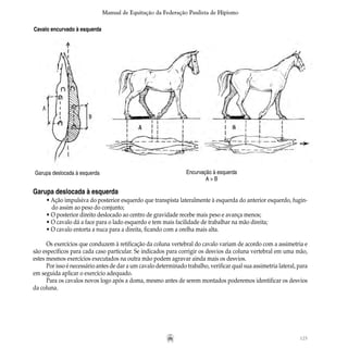 125
Manual de Equitação da Federação Paulista de Hipismo
Encurvação à esquerda
A > B
Garupa deslocada à esquerda
Garupa deslocada à esquerda
• Ação impulsiva do posterior esquerdo que transpista lateralmente à esquerda do anterior esquerdo, fugin-
	 do assim ao peso do conjunto;
• O posterior direito deslocado ao centro de gravidade recebe mais peso e avança menos;
• O cavalo dá a face para o lado esquerdo e tem mais facilidade de trabalhar na mão direita;
• O cavalo entorta a nuca para a direita, ficando com a orelha mais alta.
Os exercícios que conduzem à retificação da coluna vertebral do cavalo variam de acordo com a assimetria e
são específicos para cada caso particular. Se indicados para corrigir os desvios da coluna vertebral em uma mão,
estes mesmos exercícios executados na outra mão podem agravar ainda mais os desvios.
Por isso é necessário antes de dar a um cavalo determinado trabalho, verificar qual sua assimetria lateral, para
em seguida aplicar o exercício adequado.
Para os cavalos novos logo após a doma, mesmo antes de serem montados poderemos identificar os desvios
da coluna.
Cavalo encurvado à esquerda
 