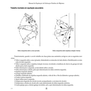 128
Manual de Equitação da Federação Paulista de Hipismo
Trabalho montado em equitação secundária
	 Volta à esquerda sobre a anca (pirueta)	 Volta à esquerda sobre espádua (rotação inversa)
Posteriormente, quando o cavalo trabalha em duas pistas essa assimetria corrige-se com os seguintes exer-
cícios:
• Volta à esquerda sobre a anca (pirueta), distendendo os músculos do lado direito e flexibilizando os mús-
	 culos do lado esquerdo;
• Volta à esquerda sobre a espádua (rotação inversa), invertendo a tendência do desvio da garupa do lado
	 direito para o lado esquerdo;
• Volta natural para a esquerda, cavalo direito sobre o círculo;
• Volta natural para a direita, pela ação determinante da rédea contrária esquerda;
• Espádua esquerda adentro;
• Garupa esquerda adentro;
• Trabalho combinado de espádua esquerda adentro, volta de 8m a 10m de diâmetro e garupa adentro;
• Cessão à perna esquerda;
• Apoio ladear para a esquerda;
• Galope para esquerda em círculo (cavalo acompanhando a curvatura do círculo);
• Galope para a direita em círculo sob a ação determinante da rédea esquerda contrária;
• Contra galope para a direita (galope invertido), sob a ação determinante da rédea esquerda;
 