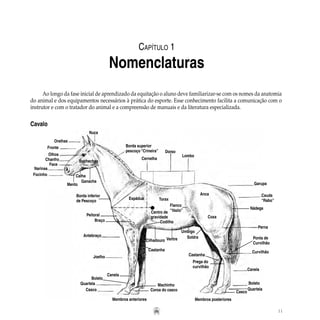 11
Capítulo 1
Nomenclaturas
Orelhas
Fronte
Olhos
Chanfro
Face
Narinas
Focinho
Ganacha
Mento
Peitoral
Antebraço
Joelho
Canela
Boleto
Quartela
Casco
Membros anteriores Membros posteriores
Nuca
Borda superior
pescoço “Crineira”
Espádua
Braço
Cernelha
Dorso
Lombo
Anca
Perna
Garupa
Cauda
“Rabo”
Coxa
Curvilhão
Canela
Boleto
Quartela
Torax
Codilho
Ventre
Flanco
“Vazio”Centro de
gravidade
Bochechas
Calha
Borda inferior
de Pescoço
Nádega
Soldra
Castanha
Prega do
curvilhão
Machinho
Coroa do casco Casco
Cilhadouro
Umbigo
Castanha
Ponta de
Curvilhão
Ao longo da fase inicial de aprendizado da equitação o aluno deve familiarizar-se com os nomes da anatomia
do animal e dos equipamentos necessários à prática do esporte. Esse conhecimento facilita a comunicação com o
instrutor e com o tratador do animal e a compreensão de manuais e da literatura especializada.
Cavalo
 