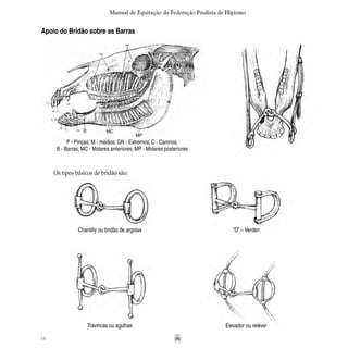 16
Manual de Equitação da Federação Paulista de Hipismo
Chantilly ou bridão de argolas “D” – Verden
Os tipos básicos de bridão são:
Travincas ou agulhas Elevador ou reléver
P - Pinças, M - médios; GN - Extremos; C - Caninos,
B - Barras; MC - Molares anteriores; MP - Molares posteriores
Apoio do Bridão sobre as Barras
 