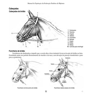 17
Manual de Equitação da Federação Paulista de Hipismo
1
4
5
2 3
7
6
8
10
9
Cabeçadas de bridão
	 1	 Cachaceira
	 2	 Faceiras
	 3	 Cisgola
	 4	 Testeira
	 5	 Focinheira
	 6	 Barbela
	 7	 Argola
	 8	 Bridão
	 9	 Rédea
	 10	 Controle para martingal
Focinheira de bridão
Focinheiras são destinadas a impedir que o cavalo abra a boca tentando livrar-se da ação do bridão ou freio.
Permitindo assim um perfeito flexionamento do maxilar e da nuca, com elevação do pescoço transferindo o peso
para os posteriores.
Focinheira normal acima do bridão Focinheira italiana abaixo do bridão
Cachaceira
Testeira
Faceira
Focinheira
Cisgola
“Afogador”
Cabeçadas
 