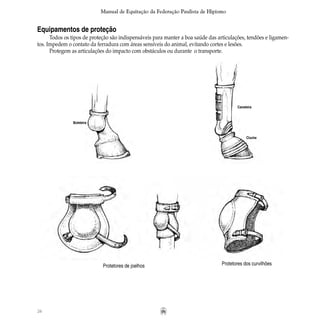 26
Manual de Equitação da Federação Paulista de Hipismo
Equipamentos de proteção
Todos os tipos de proteção são indispensáveis para manter a boa saúde das articulações, tendões e ligamen-
tos. Impedem o contato da ferradura com áreas sensíveis do animal, evitando cortes e lesões.
Protegem as articulações do impacto com obstáculos ou durante o transporte.
Protetores de joelhos Protetores dos curvilhões
Boleteira
Caneleira
Cloche
 