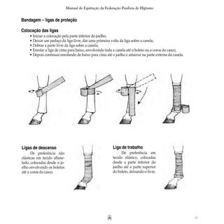 27
Manual de Equitação da Federação Paulista de Hipismo
Bandagem – ligas de proteção
Colocação das ligas
• Iniciar a colocação pela parte inferior do joelho;
• Deixar um pedaço da liga livre, dar uma primeira volta da liga sobre a canela;
• Dobrar a parte livre da liga sobre a canela;
• Enrolar a liga de cima para baixo, envolvendo toda a canela até o boleto ou a coroa do casco;
• Depois continuar enrolando de baixo para cima até o joelho e amarrar na parte externa da canela.
Ligas de descanso
De preferência não
elásticas em tecido aflane-
lado, colocadas desde o jo-
elho envolvendo os boletos
até a coroa do casco.
Liga de trabalho
De preferência em
tecido elástico, colocadas
desde a parte inferior do
joelho até a parte superior
do boleto, deixando-o livre.
 