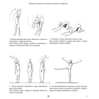 39
Manual de Equitação da Federação Paulista de Hipismo
5 - Braços estendidos para cima.Abaixando o tronco na
horizontal e a cabeça para baixo.
Este exercício solta, alonga e fortifica os músculos ex-
tensores e flexores do tronco, dorso e pernas.
6 - Flexionar a coluna colocando o peito no solo.
Este exercício melhora a posição das costas e confere
elasticidade à coluna vertebral.  
7 - Braço levantado inclinando o corpo lateralmente
para os dois lados.
Este exercício solta e alonga os músculos laterais do
tronco e do quadril.
8 - Levantar lateralmente uma perna e esticar os braços.
Este exercício solta os músculos do quadril e alarga a
região do assento, facilitando a montaria.
 
