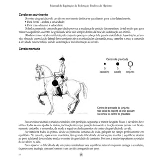 58
Manual de Equitação da Federação Paulista de Hipismo
Cavalo em movimento
O centro de gravidade do cavalo em movimento desloca-se para frente, para trás e lateralmente.
• Para frente – acelera a velocidade;
• Para trás – diminui a velocidade.
O deslocamento do centro de gravidade provoca a mudança de posição dos membros, de tal modo que, para
manter o equilíbrio, o centro de gravidade deve cair sempre dentro da base de sustentação do animal.
O balanceiro cervical constituído pelo conjunto pescoço – cabeça é de grande mobilidade. Acontração, exten-
são, elevação ou oscilação lateral desse conjunto ativa as articulações da maxila, nuca, cernelha e anca, e comanda
a atividade dos membros, dando sustentação e movimentação ao cavalo.
Cavalo montado
	
Centro de gravidade
l l ¡ò ò ò
cavaleiro cavalo conjunto
Centro de gravidade do conjunto:
Nas selas de esporte os loros passam
na vertical do centro de gravidade
Para executar os mais variados exercícios com perfeição, segurança e menor desgaste físico, o cavaleiro deve
utilizar todas as suas ajudas de rédeas, inclinação do corpo, posição do assento e fixação de suas pernas com flexio-
namento do joelho e tornozelos, de modo a seguir os deslocamentos do centro de gravidade do cavalo.
Por natureza todos os potros, desde as primeiras semanas de vida, galopam no campo perfeitamente em
equilíbrio. No entanto, após serem montados, têm grande dificuldade de início para manter o equilíbrio, devido
ao peso adicional do cavaleiro mudar o centro de gravidade do conjunto. Por isso, é muito importante a posição
do cavaleiro na sela.
Para apreciar a dificuldade de um potro restabelecer seu equilíbrio natural enquanto carrega o cavaleiro,
façamos uma analogia com um homem e um cavalo carregando um peso.
 