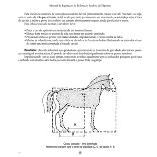 74
Manual de Equitação da Federação Paulista de Hipismo
Para iniciar os exercícios de condução o cavaleiro deverá primeiramente colocar o cavalo “na mão”, ou seja,
unir o cavalo de trás para frente, de tal modo que, tanto parado como em movimento, se estabeleça entre a boca
do cavalo, a mão e a perna do cavaleiro um contato absolutamente seguro, ainda que elástico e suave.
Para colocar o cavalo na mão, o cavaleiro deve:
• Parar o cavalo após efetuar meia parada em assento clássico;
• Efetuar forte tensão no assento de trás para frente em assento profundo;
• Pressionar ambas as pernas com suaves batidas, impulsionando o cavalo contra as mãos;
• Manter as mãos firmes, ainda que elásticas, abrindo e fechando os dedos e flexionando os cotovelos atuan-
	 do como uma mola conectada à boca do cavalo.
Resultado: O cavalo adiantará seus posteriores, aproximando-os do centro de gravidade, elevará seu pesco-
ço e mastigará a embocadura. O peso do cavaleiro será distribuído igualmente sobre os quatro membros.
Impulsionando com as duas pernas, segurando as rédeas igualmente com as unhas dos polegares para cima
e cedendo com abertura dos dedos, o cavalo iniciará o passo, trote ou galope.
Cavalo colocado – linha pontilhada
Posteriores avançam para o centro de gravidade (C. G.) do cavalo A< B
 