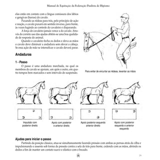 79
Manual de Equitação da Federação Paulista de Hipismo
elas estão em contato com a língua comissura dos lábios
e gengivas (barras) do cavalo.
Puxando as rédeas para trás, pelo princípio de ação
e reação, o cavalo puxará em sentido inverso, para frente,
às vezes fugindo ao controle do cavaleiro e disparando.
A força do cavaleiro jamais vence a do cavalo. Atra-
vés do correto uso das ajudas obtém-se uma boa qualida-
de de resposta do animal.
Quando o cavaleiro fecha os dedos e eleva as mãos
o cavalo deve diminuir a andadura sem elevar a cabeça.
Se essa ação de mão se intensificar o cavalo deverá parar.
Andaduras
1 - Passo
O passo é uma andadura marchada, na qual os
membros do cavalo se apoiam, um após o outro, em qua-
tro tempos bem marcados e sem intervalo de suspensão. Para evitar de encurtar as rédeas, levantar as mãos
Impulsão com
posterior direito
Apoio com posterior
e anterior direito
Apoio posterior esquerdo
anterior direito
Apoio com posterior
esquerdo e anterior
esquerdo
Ajudas para iniciar o passo
Partindo da posição clássica, atua-se simultaneamente fazendo pressão com ambas as pernas atrás da cilha e
impulsionando o assento sob forma de pressão contra a sela de trás para frente, cedendo com as mãos, abrindo os
dedos a fim de manter um contato suave e elástico com o bocado.
 