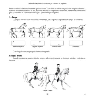 87
Manual de Equitação da Federação Paulista de Hipismo
O cavalo pode efetuar o galope à direita ou à esquerda.
Galope à direita
Quando o anterior e posterior direitos tocam o solo respectivamente na frente do anterior e posterior es-
querdos.
Posterior esquerdo Diagonal esquerda Anterior direito Suspensão
Galope à direita
frente da vertical e o assento levemente apoiado na sela. O cavaleiro levanta-se um pouco em “suspensão flexível”,
voltando suavemente ao fundo da sela, auxiliado pela flexão dos joelhos e calcanhares para melhor distribuir seu
peso. O equilíbrio do cavaleiro é mantido pela ação da barriga das pernas.
3 - Galope
O galope é uma andadura basculante a três tempos, uma sequência seguida de um tempo de suspensão.
 