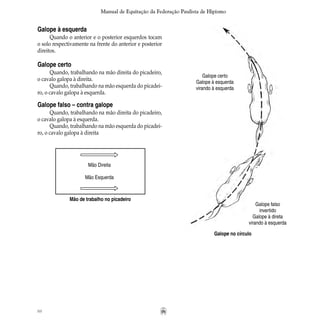 88
Manual de Equitação da Federação Paulista de Hipismo
Galope à esquerda
Quando o anterior e o posterior esquerdos tocam
o solo respectivamente na frente do anterior e posterior
direitos.
Galope certo
Quando, trabalhando na mão direita do picadeiro,
o cavalo galopa à direita.
Quando, trabalhando na mão esquerda do picadei-
ro, o cavalo galopa à esquerda.
Galope falso – contra galope
Quando, trabalhando na mão direita do picadeiro,
o cavalo galopa à esquerda.
Quando, trabalhando na mão esquerda do picadei-
ro, o cavalo galopa à direita
Galope certo
Galope à esquerda
virando à esquerda
Galope falso
invertido
Galope à direta
virando à esquerda
Mão de trabalho no picadeiro
Mão Direita
Mão Esquerda
Galope no círculo
 