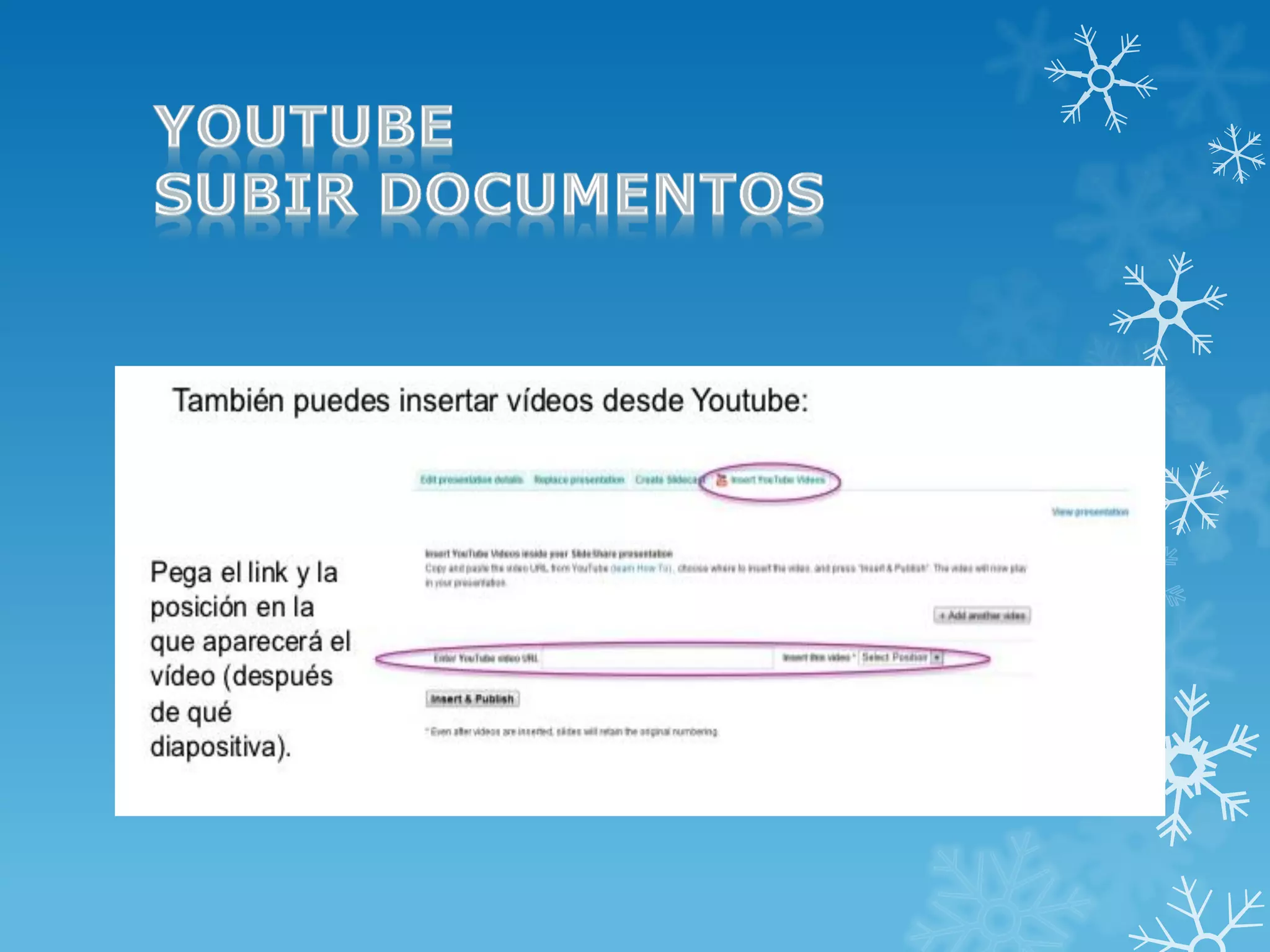 Manuales dany slide share