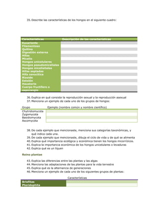 35. Describe las características de los hongos en el siguiente cuadro:




Características               Descripción de las características
Eucarionte
Filamentoso
Quitina
Digestión externa
Hifas
Micelio
Hongos unicelulares
Hongos pseudomiceliales
Hongos micelialiales
Hifas septadas
Hifa cenocítica
Rizoide
Estolón
Haustorio
Cuerpo fructífero o
esporangio

   36. Explica en qué consiste la reproducción sexual y la reproducción asexual
   37. Menciona un ejemplo de cada uno de los grupos de hongos:

Grupo              Ejemplo (nombre común y nombre científico)
Chytridiomycota
Zygomycota
Basidiomycota
Ascomycota


   38. De cada ejemplo que mencionaste, menciona sus categorías taxonómicas, y
       qué indica cada una.
   39. De cada ejemplo que mencionaste, dibuja el ciclo de vida y de qué se alimenta
   40. Explica qué importancia ecológica y económica tienen los hongos micorrízicos.
   41. Explica la importancia económica de los hongos unicelulares o levaduras
   42. Explica qué es un líquen

Reino plantae

   43. Explica las diferencias entre las plantas y las algas
   44. Menciona las adaptaciones de las plantas para la vida terrestre
   45. Explica qué es la alternancia de generaciones
   46. Menciona un ejemplo de cada uno de los siguientes grupos de plantas:

Grupo                             Características
Briofitas
Pteridophita
 