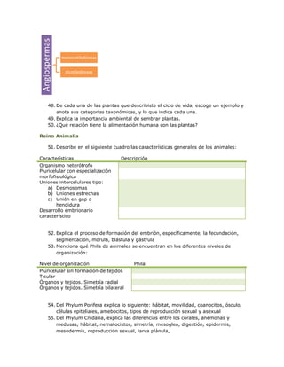 Angiospermas
                monocotiledóneas


                 dicotiledóneas




        48. De cada una de las plantas que describiste el ciclo de vida, escoge un ejemplo y
            anota sus categorías taxonómicas, y lo que indica cada una.
        49. Explica la importancia ambiental de sembrar plantas.
        50. ¿Qué relación tiene la alimentación humana con las plantas?

Reino Animalia

        51. Describe en el siguiente cuadro las características generales de los animales:

Características                         Descripción
Organismo heterótrofo
Pluricelular con especialización
morfofisiológica
Uniones intercelulares tipo:
    a) Desmosomas
    b) Uniones estrechas
    c) Unión en gap o
        hendidura
Desarrollo embrionario
característico


        52. Explica el proceso de formación del embrión, específicamente, la fecundación,
            segmentación, mórula, blástula y gástrula
        53. Menciona qué Phila de animales se encuentran en los diferentes niveles de
            organización:

Nivel de organización                        Phila
Pluricelular sin formación de tejidos
Tisular
Órganos y tejidos. Simetría radial
Órganos y tejidos. Simetría bilateral


        54. Del Phylum Porifera explica lo siguiente: hábitat, movilidad, coanocitos, ósculo,
            células epiteliales, amebocitos, tipos de reproducción sexual y asexual
        55. Del Phylum Cnidaria, explica las diferencias entre los corales, anémonas y
            medusas, hábitat, nematocistos, simetría, mesoglea, digestión, epidermis,
            mesodermis, reproducción sexual, larva plánula,
 