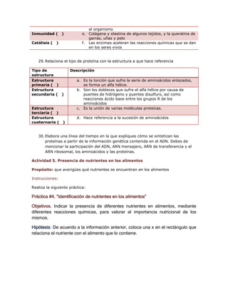 al organismo
Inmunidad (       )         e. Colágena y elastina de algunos tejidos, y la queratina de
                               garras, uñas y pelo
Catálisis (   )             f. Las enzimas aceleran las reacciones químicas que se dan
                               en los seres vivos


   29. Relaciona el tipo de proteína con la estructura a que hace referencia

Tipo de               Descripción
estructura
Estructura               a. Es la torción que sufre la serie de aminoácidos enlazados,
primaria ( )                se forma un alfa hélice.
Estructura               b. Son los dobleces que sufre el alfa hélice por causa de
secundaria ( )              puentes de hidrógeno y puentes disulfuro, así como
                            reacciones ácido base entre los grupos R de los
                            aminoácidos
Estructura               c. Es la unión de varias moléculas proteícas.
terciaria ( )
Estructura               d. Hace referencia a la sucesión de aminoácidos
cuaternaria (     )


   30. Elabora una línea del tiempo en la que expliques cómo se sintetizan las
       proteínas a partir de la información genética contenida en el ADN. Debes de
       menconar la participación del ADN, ARN mensajero, ARN de transferencia y el
       ARN ribosomal, los aminoácidos y las proteínas.

Actividad 5. Presencia de nutrientes en los alimentos

Propósito: que averigües qué nutrientes se encuentran en los alimentos

Instrucciones:

Realiza la siguiente práctica:

Práctica #4. “Identificación de nutrientes en los alimentos”

Objetivos. Indicar la presencia de diferentes nutrientes en alimentos, mediante
diferentes reacciones químicas, para valorar al importancia nutricional de los
mismos.

Hipótesis: De acuerdo a la información anterior, coloca una x en el rectángulo que
relaciona el nutriente con el alimento que lo contiene.
 