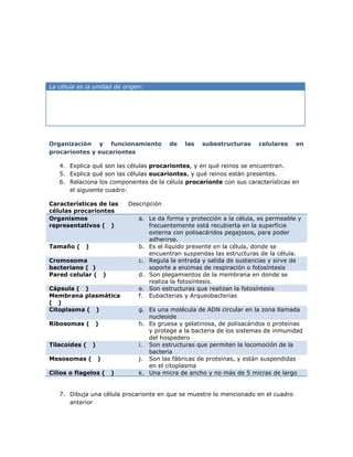 La célula es la unidad de origen:




Organización y funcionamiento                 de   las   subestructuras    celulares    en
procariontes y eucariontes

   4. Explica qué son las células procariontes, y en qué reinos se encuentran.
   5. Explica qué son las células eucariontes, y qué reinos están presentes.
   6. Relaciona los componentes de la célula procarionte con sus características en
      el siguiente cuadro:

Características de las          Descripción
células procariontes
Organismos                         a. Le da forma y protección a la célula, es permeable y
representativos ( )                   frecuentemente está recubierta en la superficie
                                      externa con polisacáridos pegajosos, para poder
                                      adherirse.
Tamaño (    )                      b. Es el líquido presente en la célula, donde se
                                      encuentran suspendas las estructuras de la célula.
Cromosoma                          c. Regula la entrada y salida de sustancias y sirve de
bacteriano ( )                        soporte a enzimas de respiración o fotosíntesis
Pared celular (         )          d. Son plegamientos de la membrana en donde se
                                      realiza la fotosíntesis.
Cápsula ( )                        e. Son estructuras que realizan la fotosíntesis
Membrana plasmática                f. Eubacterias y Arqueobacterias
( )
Citoplasma ( )                     g. Es una molécula de ADN circular en la zona llamada
                                      nucleoide
Ribosomas (     )                  h. Es gruesa y gelatinosa, de polisacáridos o proteínas
                                      y protege a la bacteria de los sistemas de inmunidad
                                      del hospedero
Tilacoides (    )                  i. Son estructuras que permiten la locomoción de la
                                      bacteria
Mesosomas (         )              j. Son las fábricas de proteínas, y están suspendidas
                                      en el citoplasma
Cilios o flagelos (         )      k. Una micra de ancho y no más de 5 micras de largo


   7. Dibuja una célula procarionte en que se muestre lo mencionado en el cuadro
      anterior
 