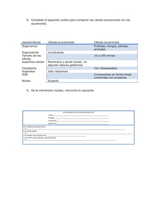8. Completa el siguiente cuadro para comparar las células procariontes con las
       eucariontes.




características             Células procariontes                                         Células eucariontes
Organismos                                                                               Protistas, hongos, plantas,
                                                                                         animales
Organización                Unicelulares
Tamaño de las                                                                            10 a 100 micras
células
Superficie celular          Membrana y pared celular, en
                            algunas cápsula gelatinosa
Citoplasma                                                                               Con citoesqueleto
Organelos                   Sólo ribosomas
ADN                                                                                      Cromosomas en forma lineal
                                                                                         combinado con proteínas
Núcleo                      Ausente


    9. De la membrana nuclear, menciona lo siguiente:




                                             Las funciones de la membrana celular son:
                            Limitar______________________________________________________________
                            Proteger_____________________________________________________________
                            Transportar__________________________________________________________
                            Seleccionar__________________________________________________________
 • El modelo de mosaico fluido
   es:______________________________________________________________________________________________________________
 • La bicapa lipídica
   es:______________________________________________________________________________________________________________________
 • Los lípidos que la forman son:____________________________________________
 • La función de glucolípidos y glucoproteínas
   es:___________________________________________________________________________________________________
 