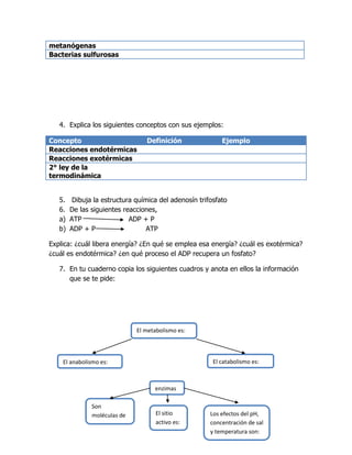 metanógenas
Bacterias sulfurosas




   4. Explica los siguientes conceptos con sus ejemplos:

Concepto                          Definición               Ejemplo
Reacciones endotérmicas
Reacciones exotérmicas
2° ley de la
termodinámica


   5.    Dibuja la estructura química del adenosín trifosfato
   6.   De las siguientes reacciones,
   a)   ATP                 ADP + P
   b)   ADP + P                  ATP

Explica: ¿cuál libera energía? ¿En qué se emplea esa energía? ¿cuál es exotérmica?
¿cuál es endotérmica? ¿en qué proceso el ADP recupera un fosfato?

   7. En tu cuaderno copia los siguientes cuadros y anota en ellos la información
      que se te pide:




                              El metabolismo es:



    El anabolismo es:                                   El catabolismo es:



                                    enzimas

               Son
               moléculas de          El sitio          Los efectos del pH,
               tipo:                 activo es:        concentración de sal
                                                       y temperatura son:
 