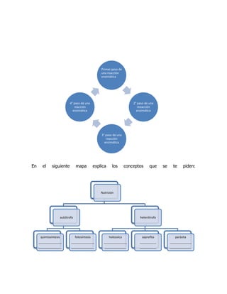 Primer paso de
                                                      una reacción
                                                      enzimática




                             4° paso de una                                 2° paso de una
                                reacción                                       reeacción
                               enzimática                                     enzimática




                                                      3° paso de una
                                                         reacción
                                                        enzimática




En     el     siguiente            mapa           explica     los       conceptos      que    se    te     piden:




                                                      Nutrición




                       autótrofa                                                heterótrofa




      quimiosíntesis               fotosíntesis             holozoica             saprofita           parásita
     ______________           ______________            ______________          __________         _____________
     ______________           ______________            _____________           __________         _____________
 