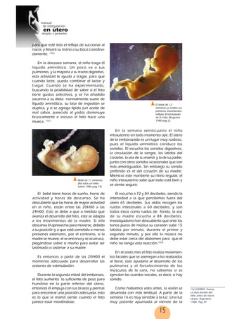 15
para que esté listo el reflejo de succionar al
nacer, y llevará su mano a su boca coordina-
damente. 14(5)
En la doceava semana, el niño traga él
liquido amniótico. Un poco va a sus
pulmones, y la mayoría a su tracto digestivo,
esta actividad le ayuda a tragar, para que
cuando lacte, pueda combinar el lactar y
tragar. Cuando se ha experimentado,
buscando la posibilidad de saber si el feto
tiene gustos selectivos, y se ha añadido
sacarina a su dieta normalmente suave de
líquido amniótico, su tasa de ingestión se
duplica, y si se agrega lípido (un aceite de
mal sabor, parecido al yodo) disminuye
bruscamente e incluso el feto hace una
mueca. 15(1)
El bebé tiene horas de sueño, horas de
actividad y horas de descanso. Se ha
descubierto que las horas de mayor actividad
en el niño, están entre las 20H00 a las
24H00. Esto se debe a que a medida que
avanza el desarrollo del feto, este se adapta
a los movimientos de la madre. Si ella
descansa él aprovecha para moverse, debido
a su posición y a que está sometido a menos
presiones exteriores, por el contrario, si la
madre se mueve, el se encorva y se acurruca,
plegándose sobre si mismo para evitar ser
lastimado o lastimar a su madre.
Es entonces a partir de las 20H00 el
momento adecuado para desarrollar las
sesiones de estimulación.
Durante la segunda mitad del embarazo,
el feto aumenta lo suficiente de peso para
hundirse en la parte inferior del útero,
entonces él empuja con sus brazos y piernas
para encontrar una posición adecuada, esto
es lo que la mamá siente cuando el feto
parece estar moviéndose.
En la semana veinticuatro el niño
intrauterino en todo momento oye. El útero
de la embarazada es un lugar muy ruidoso,
pues el líquido amniótico conduce los
sonidos. El escucha los sonidos digestivos,
la circulación de la sangre, los latidos del
corazón, la voz de su mamá y la de su padre,
junto con otros sonidos ocasionales que son
más amortiguados. Sin embargo su sonido
preferido es el del corazón de su madre.
Mientras este mantiene su ritmo regular, el
niño intrauterino sabe que todo está bien y
se siente seguro.
El escucha a 72 y 84 decibeles, siendo la
intensidad a la que percibimos fuera del
útero 65 decibeles. Sus oídos recogen los
ruidos intestinales a 60 decibeles, y son
todos estos como ruidos de fondo, la voz
de su madre escucha a 84 decibeles.
Investigadores han descubierto que ante los
tonos puros de música su corazón sube 15
latidos por minuto, durante el primer y
segundo minuto, y por ello la música no
debe estar cerca del abdomen para que el
niño no tenga esta reacción.14(5)
En el sexto mes el feto realiza movimien-
tos faciales que se asemejan a los realizados
al llorar, esto ayudaría al desarrollo de los
pulmones y al fortalecimiento de los
músculos de la cara, no sabemos si se
ejercitan las cuerdas vocales, es decir, si hay
sonido.
Como habíamos visto antes, la visión se
desarrolla con más lentitud. A partir de la
semana 16 es muy sensible a la luz. Una luz
muy potente apuntada al vientre de la
15(1)VERNY, Tomas,
La vida secreta del
niño antes de nacer,
Urano, Argentina.
1988. Pag 39
Bebé de 11 semanas
(Así nace un niño,
Salvat 1986 pag 19)
El bebé de 12
semanas ya realiza sus
primeros movimientos
reflejos (Enciclopedia
de la Vida, Bruguera
1980 pag 2)
15
 
