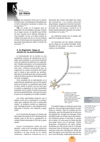 44
poderes de evocación hasta por lo menos
el octavo mes, sin embargo es indudable que
el niño intrauterino recuerda o retiene sus
evocaciones. 63(1)
10. La visión es el órgano que se
desarrolla con más lentitud. Aunque el útero
es un lugar oscuro, no significa que el feto
no vea. A partir de la semana dieciséis es
muy sensible a la luz, y él sabe cuando su
madre toma rayos de sol. La luz no molesta
al niño a menos que sea muy potente y esté
apuntada directamente sobre el vientre de
la madre. 64(1)
4. Su Organismo llegue al
máximo de sus potencialidades
La estimulación en el vientre es una
maravillosa manera de relacionarse con el
bebé, pero también es una forma bastante
sutil y no artificial de estimular sus capacida-
des. El bebé estimulado, no necesariamente
será un niño superdotado o un gran artista,
más bien, estamos provocando que su
organismo se vuelva consciente del medio
que lo rodea y que usando sus sentidos,
descubra su función para que a futuro pueda
valerse de ellos y provocar aprendizajes cada
vez más complejos.
Otra resultado de la estimulación es la
capacidad de adaptación que el niño podrá
tener en el futuro. La aceptación que siente
el niño, desde el vientre, por los seres que
le rodean y juguetean en este maravilloso
ambiente con él, podrá trasmitir hacia otras
personas posteriormente , por que él conoce
lo que es ser aceptado y se acepta también.
Los niños estimulados tampoco van a
hablar al mes de su nacimiento, o caminar
antes que cualquier otro niño, su desarrollo
motriz* se realizará cuando su organismo
esté fisiológicamente y psicológicamente
dispuesto a hacerlo, con madurez y segu-
ridad.
En el momento del parto el cerebro del
feto habrá alcanzado el 25% del tamaño del
adulto, para el día de su cumpleaños su
cerebro habrá alcanzado el 70% de su peso
adulto.
Susan Lundingnton habla de esté
período como el de «arranque» donde las
células cerebrales son extremadamente
sensibles a lo que ocurre en su medio
ambiente. Podemos influenciar en el
desarrollo del cerebro del bebé aún antes
del nacimiento, si su cerebro está bien
desarrollado, asegurará el normal crecimien-
to de todo el resto del cuerpo del bebé. Este
período de «arranque» cerebral es la
oportunidad ideal para ofrecerle un comien-
zo efectivo en la vida. 65(5)
Los estímulos actúan en el cerebro del
bebé de la siguiente manera:
Las neuronas son las células nerviosas
que se alojan en el cerebro del bebé. Están
divididas en tres partes: el axón, el cuerpo
celular y las dendritas.
Si al bebé le llega un estimulo visual muy
potente, este mensaje viajará desde sus ojos
hasta su cerebro. Aquí es recibido por las
dendritas, que son las partes de la neurona
encargadas de recoger los mensajes. Estas
dendritas están en el área visual del cerebro.
Las dendritas pasan el mensaje al cuerpo
de la célula. En esta parte la célula decide
que debe hacer con el mensaje. Puede
guardarlo, compartirlo con otras células
cerebrales y/o reaccionar ante él. Si decide
reaccionar ante el mensaje, el cuerpo de la
neurona envía otro mensaje por medio del
axón de regreso a los músculos y los nervios
de la cara del bebé, ordenando retirarse de
*DESARROLLO
MOTRIZ:
Desarrollo del
movimiento
63(1) VERNY. Thomas,
La vida secreta del
niño antes de nacer.
Urano, Argentina.
1988, pag 38
64(1) VERNY. Thomas,
La vida secreta del
niño antes de nacer.
Urano , Argentina.
1988, pag 36
65(5) LUNDINGTON,
Susan, How to have a
smarter baby, Bantam,
New York, 1987
pag 45
La Neurona es la célula
nerviosa encargada de
transmitir impulsos nerviosos,
entre el sistema nervioso
central y otras áreas del cuerpo
(Enciclopedia Visual Seres
Vivos. El Universo, Ecuador,
1995, pag 37)
44
 