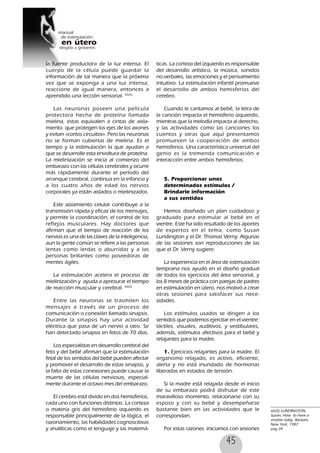 45
la fuente productora de la luz intensa. El
cuerpo de la célula puede guardar la
información de tal manera que la próxima
vez que se exponga a una luz intensa,
reaccione de igual manera, entonces a
aprendido una lección sensorial. 65(5)
Las neuronas poseen una película
protectora hecha de proteína llamada
mielina, estas equivalen a cintas de aisla-
miento que protegen los ejes de los axones
y evitan «cortos circuitos». Pero las neuronas
no se forman cubiertas de mielina. Es el
tiempo y la estimulación la que ayudan a
que se desarrolle esta envoltura de proteína.
La mielinización se inicia al comienzo del
embarazo con las células cerebrales y ocurre
más rápidamente durante el período del
arranque cerebral, continua en la infancia y
a los cuatro años de edad los nervios
corporales ya están aislados o mielinizados.
Este aislamiento celular contribuye a la
transmisión rápida y eficaz de los mensajes,
y permite la coordinación, el control de los
reflejos musculares. Hay doctores que
afirman que el tiempo de reacción de los
nervios es una de las claves de la inteligencia,
aun la gente común se refiere a las personas
lentas como lerdas o aburridas y a las
personas brillantes como poseedoras de
mentes ágiles.
La estimulación acelera el proceso de
mielinización y ayuda a apresurar el tiempo
de reacción muscular y cerebral. 66(5)
Entre las neuronas se trasmiten los
mensajes a través de un proceso de
comunicación o conexión llamado sinapsis.
Durante la sinapsis hay una actividad
eléctrica que pasa de un nervio a otro. Se
han detectado sinapsis en fetos de 70 días.
Los especialistas en desarrollo cerebral del
feto y del bebé afirman que la estimulación
fetal de los sentidos del bebé pueden afectar
y promover el desarrollo de estas sinapsis, y
la falta de estas conexiones puede causar la
muerte de las células nerviosas, especial-
mente durante el octavo mes del embarazo.
El cerebro está divido en dos hemisferios,
cada uno con funciones distintas. La corteza
o materia gris del hemisferio izquierdo es
responsable principalmente de la lógica, el
razonamiento, las habilidades cognoscitivas
y analíticas como el lenguaje y las matemá-
ticas. La corteza del izquierdo es responsable
del desarrollo artístico, la música, sonidos
no verbales, las emociones y el pensamiento
intuitivo. La estimulación infantil promueve
el desarrollo de ambos hemisferios del
cerebro.
Cuando le cantamos al bebé, la letra de
la canción impacta el hemisferio izquierdo,
mientras que la melodía impacta al derecho,
y las actividades como las canciones los
cuentos y otras que aquí presentamos
promueven la cooperación de ambos
hemisferios. Una característica universal del
genio es la tremenda comunicación e
interacción entre ambos hemisferios.
5. Proporcionar unos
determinados estímulos /
Brindarle información
a sus sentidos
Hemos diseñado un plan cuidadoso y
graduado para estimular al bebé en el
vientre. Este ha sido resultado de los aportes
de expertos en el tema, como Susan
Lundington y el Dr. Thomas Verny. Algunas
de las sesiones son reproducciones de las
que el Dr. Verny sugiere.
La experiencia en el área de estimulación
temprana nos ayudó en el diseño gradual
de todos los ejercicios del área sensorial, y
los 8 meses de práctica con parejas de padres
en estimulación en útero, nos motivó a crear
otras sesiones para satisfacer sus nece-
sidades.
Los estímulos usados se dirigen a los
sentidos que podemos ejercitar en el vientre:
táctiles, visuales, auditivos, y vestibulares,
además, estímulos afectivos para el bebé y
relajantes para la madre.
1. Ejercicios relajantes para la madre. El
organismo relajado, es activo, eficiente,
alerta y no está inundado de hormonas
liberadas en estados de tensión.
Si la madre está relajada desde el inicio
de su embarazo podrá disfrutar de este
maravilloso momento, relacionarse con su
esposo y con su bebé y desempeñarse
bastante bien en las actividades que le
correspondan.
Por estas razones iniciamos con sesiones
66(5) LUNDINGTON,
Susan, How to have a
smarter baby, Bantam,
New York, 1987
pag 34
 