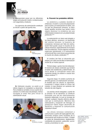 47
le correspondan pasar por las diferentes
etapas de evolución motriz, se desenvuelva
con seguridad y madurez.
Los ejercicios de estimulación vestibular
se inician a partir del quinto mes.
5. Estímulos visuales. La visión es el
último órgano en completar su desarrollo.
Pero el bebé es sensible a la luz a partir de la
semana 16. Entre estos dos tiempos, hemos
escogido el sexto mes para iniciar la
estimulación visual.
6. Prevenir los probables déficits
La asistencia y cuidados durante el
embarazo, el asistir a cursos de preparación
para el parto y la estimulación en útero, son
un tipo de prevención primaria, es decir
todas aquellas acciones que tienen como
objeto disminuir la incidencia de una
enfermedad o trastorno en una determinada
población.68(7)
La estimulación en útero está dirigida a
las áreas afectiva, sensorial, y al desarrollo
del sistema nervioso. La ausencia de
conexiones nerviosas por falta de estimu-
lación fetal puede causar la muerte de las
células nerviosas, especialmente en el octavo
mes de embarazo, incluso algunos estudios
especulan planteando a la estimulación
sensorial del feto como factor preventivo de
la muerte de células cerebrales.66(5)
El cerebro del feto se desarrolla por
etapas y en cada una de ellas la estimulación
incide de un modo especial.
Primera etapa - quinto mes de embarazo.
El número de células cerebrales que tendrá
el bebé está establecido y determinado. Se
inicia desde la concepción hasta este
momento donde no volverá a crearse otra
célula cerebral.66(5)
Segunda etapa. El cerebro aumenta de
tamaño gracias a la estimulación sensorial .
A medida que las células se agrandan,
comienzan a migrar desde el centro del
cerebro, lo que produce un aumento del
tamaño de este órgano.
Los axones crecen alargados; a partir de
la semana 18 las dendritas se ramifican
formando una red de interconexiones
bastante elaborada, la cual se encarga de
recoger cualquier impulso eléctrico produ-
cido por la estimulación. Mientras más
estimulación y recepción de mensajes se
produzcan habrá mayor desarrollo de
dendritas y mejorará la comunicación
individual celular.
Las células nerviosas comienzan a
comunicarse a partir del septuagécimo día,
formando sinapsis como resultado de la
estimulación que recibe en el útero. El bebé
es capaz de autoestimularse, deglutiendo,
cambiando de posición, pateando, succio-
nando y tocándose la cara.
Sesión:
˝Estímuilos graves˝
Sesión:
˝Estímuilos agudos˝
68(7) VERNY. Thomas,
El Vínculo afectivo con
el niño antes de
nacer. Urano,
Argentina. 1992,
pag 30
Sesión:
˝Se pende y se apaga˝
47
 