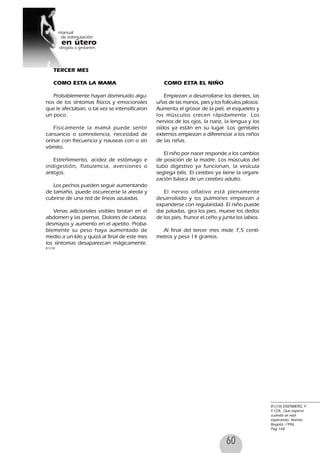60
81(10) EISENBERG, F.
Y COL. Que esperar
cuando se está
esperando, Norma
Bogotá, 1996,
Pag 168
TERCER MES
COMO ESTA LA MAMA
Probablemente hayan disminuido algu-
nos de los síntomas físicos y emocionales
que le afectaban, o tal vez se intensificaron
un poco.
Físicamente la mamá puede sentir
cansancio o somnolencia, necesidad de
orinar con frecuencia y nauseas con o sin
vómito.
Estreñimiento, acidez de estómago e
indigestión, flatulencia, aversiones o
antojos.
Los pechos pueden seguir aumentando
de tamaño, puede oscurecerse la areola y
cubrirse de una red de líneas azuladas.
Venas adicionales visibles brotan en el
abdomen y las piernas. Dolores de cabeza,
desmayos y aumento en el apetito. Proba-
blemente su peso haya aumentado de
medio a un kilo y quizá al final de este mes
los síntomas desaparezcan mágicamente.
81(10)
COMO ESTA EL NIÑO
Empiezan a desarrollarse los dientes, las
uñas de las manos, pies y los folículos pilosos.
Aumenta el grosor de la piel, el esqueleto y
los músculos crecen rápidamente. Los
nervios de los ojos, la nariz, la lengua y los
oídos ya están en su lugar. Los genitales
externos empiezan a diferenciar a los niños
de las niñas.
El niño por nacer responde a los cambios
de posición de la madre. Los músculos del
tubo digestivo ya funcionan, la vesícula
segrega bilis. El cerebro ya tiene la organi-
zación básica de un cerebro adulto.
El nervio olfativo está plenamente
desarrollado y los pulmones empiezan a
expanderse con regularidad. El niño puede
dar patadas, gira los pies, mueve los dedos
de los pies, frunce el ceño y junta los labios.
Al final del tercer mes mide 7,5 centí-
metros y pesa 14 gramos.
 