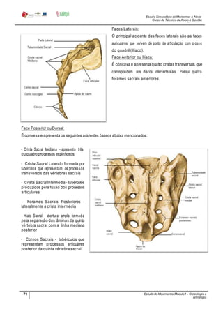Escola Secundária de Montemor-o-Novo
Curso de Técnico de Apoio à Gestão
Desportiva
71 Estudo do Movimento/ Modulo1 – Osteologia e
Artrologia
Professora: SabinaTique
Faces Laterais:
O principal acidente das faces laterais são as faces
auriculares que servem de ponto de articulação com o osso
do quadril (Ilíaco).
Face Anterior ou Ilíaca:
É côncava e apresenta quatro cristas transversais, que
correspondem aos discos intervertebrais. Possui quatro
forames sacrais anteriores.
Face Posterior ou Dorsal:
É convexa e apresenta os seguintes acidentes ósseos abaixa mencionados:
- Crista Sacral Mediana - apresenta três
ou quatroprocessos espinhosos
- Crista Sacral Lateral - formada por
tubérculos que representam os processos
transversos das vértebras sacrais
- Crista Sacral Intermédia - tubérculos
produzidos pela fusão dos processos
articulares
- Forames Sacrais Posteriores -
lateralmente à crista intermédia
- Hiato Sacral - abertura ampla formada
pela separação das lâminas da quinta
vértebra sacral com a linha mediana
posterior
- Cornos Sacrais - tubérculos que
representam processos articulares
posterior da quinta vértebra sacral
 