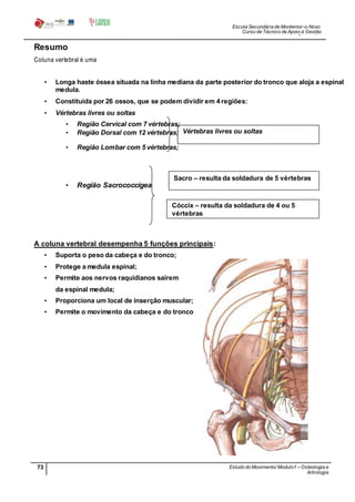 Escola Secundária de Montemor-o-Novo
Curso de Técnico de Apoio à Gestão
Desportiva
73 Estudo do Movimento/ Modulo1 – Osteologia e
Artrologia
Professora: SabinaTique
Resumo
Coluna vertebral é uma
• Longa haste óssea situada na linha mediana da parte posterior do tronco que aloja a espinal
medula.
• Constituída por 26 ossos, que se podem dividir em 4 regiões:
• Vértebras livres ou soltas
• Região Cervical com 7 vértebras;
• Região Dorsal com 12 vértebras;
• Região Lombar com 5 vértebras;
• Região Sacrococcígea
A coluna vertebral desempenha 5 funções principais:
• Suporta o peso da cabeça e do tronco;
• Protege a medula espinal;
• Permite aos nervos raquidianos saírem
da espinal medula;
• Proporciona um local de inserção muscular;
• Permite o movimento da cabeça e do tronco
Sacro – resulta da soldadura de 5 vértebras
Vértebras livres ou soltas
Cóccix – resulta da soldadura de 4 ou 5
vértebras
 