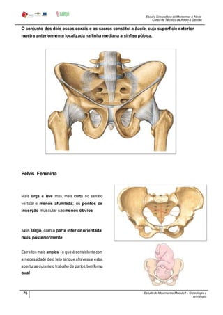 Escola Secundária de Montemor-o-Novo
Curso de Técnico de Apoio à Gestão
Desportiva
76 Estudo do Movimento/ Modulo1 – Osteologia e
Artrologia
Professora: SabinaTique
O conjunto dos dois ossos coxais e os sacros constitui a bacia, cuja superfície exterior
mostra anteriormente localizada na linha mediana a sínfise púbica.
Pélvis Feminina
Mais larga e leve mas, mais curta no sentido
vertical e menos afunilada; os pontos de
inserção muscular sãomenos óbvios
Mais largo, com a parte inferior orientada
mais posteriormente
Estreitos mais amplos (o que é consistente com
a necessidade de o feto ter que atravessar estas
aberturas durante o trabalho de parto); tem forma
oval
 