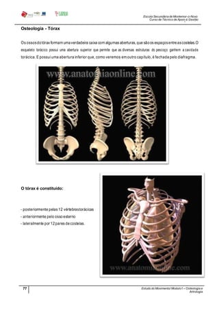 Escola Secundária de Montemor-o-Novo
Curso de Técnico de Apoio à Gestão
Desportiva
77 Estudo do Movimento/ Modulo1 – Osteologia e
Artrologia
Professora: SabinaTique
Osteologia - Tórax
Os ossosdotórax formam umaverdadeira caixa com algumas aberturas,que sãoos espaçosentreascostelas.O
esqueleto torácico possui uma abertura superior que permite que as diversas estruturas do pescoço ganhem a cavidade
torácica. E possui uma abertura inferior que, como veremos em outro capítulo, é fechada pelo diafragma.
O tórax é constituído:
- posteriormente pelas 12 vértebrastorácicas
- anteriormente pelo osso esterno
- lateralmente por 12pares decostelas.
 