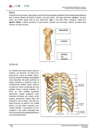 Escola Secundária de Montemor-o-Novo
Curso de Técnico de Apoio à Gestão
Desportiva
78 Estudo do Movimento/ Modulo1 – Osteologia e
Artrologia
Professora: SabinaTique
CORPO
MANUBRIO
Esterno
O esternoéum ossoímpar,chatoelongo,comaformadeumagravata,localizadonalinhamédiadafaceanteriordo
tórax. É possível distinguir três sectores no esterno: uma parte superior, mais larga, denominada manúbrio; uma parte
central, que constitui grande parte do osso, denominada corpo; e uma parte inferior, pontiaguda, denominada
apêndice xifoideu. O esterno encontra-se, na parte superior, articulado com as clavículas, enquanto as costelas estão
inseridas ao longo do osso.
.
COSTELAS
As costelas são ossos longos, planos e
simétricos, que descrevem uma ampla curva,
condicionando a forma da cavidade torácica.
No total,existem 24 costelas, dozedireitase
doze esquerdas. Na parte posterior, as
costelas encontram-se firmemente unidas às
correspondentes vértebras dorsais, enquanto
na parte da frente, constituída por uma
cartilagem flexível, a situação é diferente. De
facto, as sete costelas superiores,
denominadas "costelas verdadeiras", estão
diretamente articuladas com o esterno; as três
seguintes, denominadas "costelas falsas", não
se encontram fixas ao esterno, pois cada uma
delas encontra -se ligada à sua costela
superior; e as duas últimas, conhecidas como
"costelas flutuantes", não descrevem um arco
completo e não estão articuladas com
nenhumaestruturadoesqueletodotórax na
sua extremidade distal
APENDI
CE
XIFOIDE
U
 