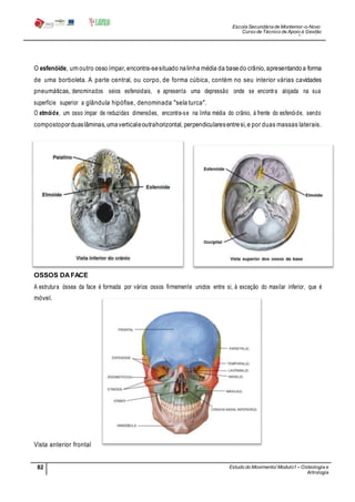 Escola Secundária de Montemor-o-Novo
Curso de Técnico de Apoio à Gestão
Desportiva
82 Estudo do Movimento/ Modulo1 – Osteologia e
Artrologia
Professora: SabinaTique
O esfenóide, um outro osso ímpar, encontra-sesituado nalinha média da basedo crânio, apresentandoa forma
de uma borboleta. A parte central, ou corpo, de forma cúbica, contém no seu interior várias cavidades
pneumáticas, denominados seios esfenoidais, e apresenta uma depressão onde se encontra alojada na sua
superfície superior a glândula hipófise, denominada "sela turca".
O etmóide, um osso ímpar de reduzidas dimensões, encontra-se na linha média do crânio, à frente do esfenóide, sendo
compostoporduaslâminas,umaverticaleoutrahorizontal, perpendicularesentresi,e por duas massas laterais.
OSSOS DAFACE
A estrutura óssea da face é formada por vários ossos firmemente unidos entre si, à exceção do maxilar inferior, que é
móvel.
Vista anterior frontal
 