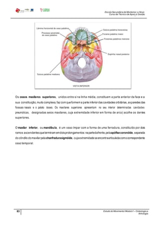 Escola Secundária de Montemor-o-Novo
Curso de Técnico de Apoio à Gestão
Desportiva
83 Estudo do Movimento/ Modulo1 – Osteologia e
Artrologia
Professora: SabinaTique
Os ossos maxilares superiores, unidos entre si na linha média, constituem a parte anterior da face e a
sua constituição, muito complexa, faz com queformem a parte inferior das cavidades orbitárias, asparedes das
fossas nasais e o palato ósseo. Os maxilares superiores apresentam no seu interior determinadas cavidades
pneumáticas, designadas seios maxilares, cuja extremidade inferior em forma de arco) acolhe os dentes
superiores.
O maxilar inferior, ou mandíbula, é um osso ímpar com a forma de uma ferradura, constituído por dois
ramos ascendentesqueterminam emdoisprolongamentos: napartedafrente,pelaapófisecoronóide, separada
do côndilo domaxilarpelachanfradurasigmóide, cujaextremidadeseencontraarticuladacomocorrespondente
osso temporal.
 