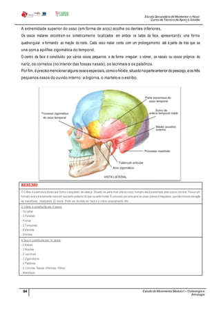Escola Secundária de Montemor-o-Novo
Curso de Técnico de Apoio à Gestão
Desportiva
84 Estudo do Movimento/ Modulo1 – Osteologia e
Artrologia
Professora: SabinaTique
A extremidade superior do osso (em forma de arco) acolhe os dentes inferiores,
Os ossos malares encontram-se simetricamente localizados em ambos os lados da face, apresentando uma forma
quadrangular e formando as maçãs do rosto. Cada osso malar conta com um prolongamento até à parte de trás que se
une com a apófise zigomática do temporal.
O centro da face é constituído por vários ossos pequenos e de forma irregular: o vómer, os nasais ou ossos próprios do
nariz, os cornetos (no interior das fossas nasais), os lacrimais e os palatinos.
Por fim, é precisomencionaralguns ossosespeciais, comoohióide, situadonaparteanterior dopescoço, eos três
pequenos ossos do ouvido interno: a bigorna, o martelo e o estribo.
RESUMO
O Crânio é a estrutura óssea que forma o esqueleto da cabeça. Situado na parte mais alta do corpo humano ele é sustentado pela coluna cervical. Possui um
formato oval e é levemente maiorem sua parte posterior do que na parte frontal. Écomposto poruma serie de ossos planos e irregulares, que sãoimóveis (exceção
da mandíbula), totalizando 22 ossos. Pode ser dividido em face e o crânio propriamente dito.
O crânio é constituído por 8 ossos:
- Occipital
- 2 Parietais
- Frontal
- 2 Temporais
- Esfenóide
- Etmóide
A face é constituída por 14 ossos:
- 2 Nasais
- 2 Maxilas
- 2 Lacrimais
- 2 Zigomáticos
- 2 Palatinos
- 2 Conchas Nasais Inferiores Vômer
- Mandíbula
 