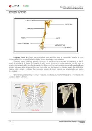 Escola Secundária de Montemor-o-Novo
Curso de Técnico de Apoio à Gestão
Desportiva
O MEMBRO SUPERIOR
O membro superior é composto por cerca de trinta ossos articulados entre si, a extremidade superior do corpo
humano é formada pelo ombro (articulação), braço, antebraço, mão e dedos.
O membro superior está mais adaptado no homem do que na maioria dos animais, principalmente no que diz
respeito à manipulação de objetos. A articulação do ombro permite o movimento circular dos braços e os dois ossos no
antebraço (o ulnae o rádio)permitem a rotação damãoem movimentoschamados depronaçãoe supinação que
permitem uma gama extra de movimentos à mão, movimentos que não se encontram na maior partem dos vertebrados.
E a pinça entre o polegar e o indicador é um movimento exclusivo do homem e permite que a manipulação mais precisa
dos objetos.
O membro superiorcomeçanacinturaescapular,estrutura queuneo membro aotórax eé composta pela
Escápula e pela Clavícula.
8
5
Estudo do Movimento/ Modulo1 – Osteologia e
Artrologia
Professora: SabinaTique
 