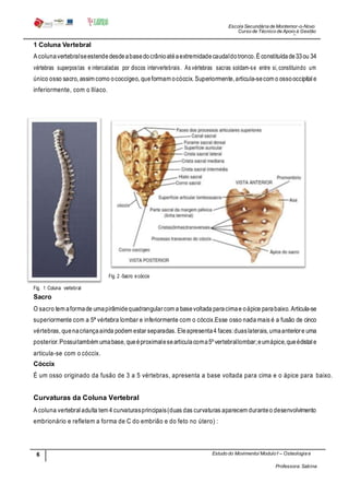 Escola Secundária de Montemor-o-Novo
Curso de Técnico de Apoio à Gestão
Desportiva
Professora: Sabina
Tique
6
2
Estudo do Movimento/ Modulo1– Osteologia e
Artrologia
1 Coluna Vertebral
A colunavertebralseestendedesdeabasedocrânioatéaextremidadecaudaldotronco.É constituídade33ou 34
vértebras superpostas e intercaladas por discos intervertebrais. As vértebras sacras soldam-se entre si,constituindo um
único osso sacro, assim como ococcígeo, queformam ocóccix. Superiormente,articula-secom o ossooccipitale
inferiormente, com o Ilíaco.
Fig. 2 -Sacro ecóccix
Fig. 1 Coluna vertebral
Sacro
O sacro tem aformade umapirâmidequadrangularcom a basevoltada paracimae oápice parabaixo. Articula-se
superiormente com a 5ª vértebra lombar e inferiormente com o cóccix.Esse osso nada mais é a fusão de cinco
vértebras, quenacriançaainda podem estar separadas. Eleapresenta4 faces:duaslaterais, umaanteriore uma
posterior.Possuitambém umabase, queéproximalesearticulacoma5º vertebrallombar;eumápice,queédistale
articula-se com o cóccix.
Cóccix
É um osso originado da fusão de 3 a 5 vértebras, apresenta a base voltada para cima e o ápice para baixo.
Curvaturas da Coluna Vertebral
A coluna vertebral adulta tem 4 curvaturasprincipais(duas das curvaturas aparecem duranteo desenvolvimento
embrionário e refletem a forma de C do embrião e do feto no útero) :
 
