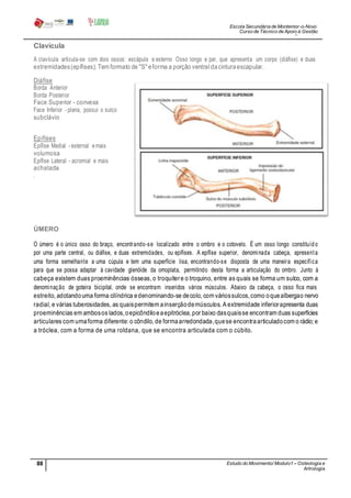 Escola Secundária de Montemor-o-Novo
Curso de Técnico de Apoio à Gestão
Desportiva
88 Estudo do Movimento/ Modulo1 – Osteologia e
Artrologia
Professora: SabinaTique
Clavícula
A clavícula articula-se com dois ossos: escápula e esterno Osso longo e par, que apresenta um corpo (diáfise) e duas
extremidades(epífises). Tem formato de "S" eforma a porção ventraldacinturaescapular.
Diáfise
Borda Anterior
Borda Posterior
Face Superior - convexa
Face Inferior - plana, possui o sulco
subclávio
Epífises
Epífise Medial - esternal emais
volumosa
Epífise Lateral - acromial e mais
achatada
.
ÚMERO
O úmero é o único osso do braço, encontrando-se localizado entre o ombro e o cotovelo. É um osso longo constituído
por uma parte central, ou diáfise, e duas extremidades, ou epífises. A epífise superior, denominada cabeça, apresenta
uma forma semelhante a uma cúpula e tem uma superfície lisa, encontrando-se disposta de uma maneira específica
para que se possa adaptar à cavidade glenóide da omoplata, permitindo desta forma a articulação do ombro. Junto à
cabeça existem duas proeminências ósseas, o troquitere o troquino, entre as quais se forma um sulco, com a
denominação de goteira bicipital, onde se encontram inseridos vários músculos. Abaixo da cabeça, o osso fica mais
estreito, adotandouma forma cilíndrica edenominando-se decolo, com váriossulcos,como oquealbergao nervo
radial, e várias tuberosidades, as quaispermitem ainserçãodemúsculos. A extremidade inferiorapresenta duas
proeminências em ambosos lados,oepicôndiloeaepitróclea,por baixo dasquaisse encontram duas superfícies
articulares com umaforma diferente: o côndilo, de formaarredondada,quese encontraarticuladocom o rádio; e
a tróclea, com a forma de uma roldana, que se encontra articulada com o cúbito.
 