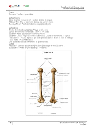 Escola Secundária de Montemor-o-Novo
Curso de Técnico de Apoio à Gestão
Desportiva
89 Estudo do Movimento/ Modulo1 – Osteologia e
Artrologia
Professora: SabinaTique
Úmero
Apresenta 2 epífises e uma diáfise.
Epífise Proximal
Cabeça do Úmero - Articula-se com a cavidade glenóide da escápula
Tubérculo Maior - Situa-se lateralmente à cabeça eao tubérculo menor
TubérculoMenor -Projeta-semedialmentelogoabaixodocolo
Epífise Distal
Tróclea -Semelhanteaum carretel.Articula-secom aulna
Capítulo - Eminência lisa earredondada. Articula-se com orádio
EpicôndiloMedial -Localiza-semedialmente àtróclea
Epicôndilo Lateral - Pequena eminência tuberculada. Localizado lateralmente ao capítulo
Fossa Coronoide - Pequena depressão que recebe processo coronoide da ulna na flexão do antebraço
Fossa Radial - Pequenadepressão
Ulnar - Depressão localizada inferiormente ao epicôndilo medial
Diáfise
Tuberosidade Deltóidea - Elevação triangular áspera para inserção do músculo deltoide
Sulco do NervoRadial - Depressãooblíquaampla e rasa
 