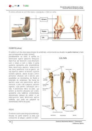 Escola Secundária de Montemor-o-Novo
Curso de Técnico de Apoio à Gestão
Desportiva
Professora: Sabina
Tique
9
0
Estudo do Movimento/ Modulo1– Osteologia e
Artrologia
O úmero articula-se com três ossos: a escápula, o rádio e a ulna.
CÚBITO (ulna)
O cúbito é um dos dois ossos longos do antebraço, encontrando-se situado na parte interna (o lado
que corresponde ao dedo mínimo),
paralelamente ao rádio. A epífise ou
extremidade superior apresenta formaçõ es
específicas que favorecem a sua articul açã o
com o úmero e com o rádio. A parte
posterior apresenta uma proeminência
óssea denominada olecrânio, evidenci an d o
uma forma semelhante à de um gancho, em
cuja superfície anterior se encontra a grand e
cavidade sigmoide, através da qual o úmero
permanece articulado com o cotovelo para
possibilitar os movimentos de flexão e
extensão do antebraço. Na frente do
olecrânio existe uma proeminência, apófi se
coronoide, e junto a ela a pequena cavidad e
sigmoide, o que permite a articulação com o
rádio. A extremidade inferior do cúbito, que
também se encontra articulada com o rádio,
apresenta uma saliência arredondada,
denominada cabeça do cúbito, e um
prolongamento ósseo denominado apófi se
estiloide, que pode ser palpável na
extremidade interna do pulso.
RÁDIO
O rádio é o outro osso longo do antebraço,
situado na parte externa (o lado que
corresponde ao polegar), paralelo ao cúbito.
Uln
a
Radio
Úmero
 