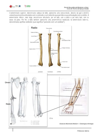 Escola Secundária de Montemor-o-Novo
Curso de Técnico de Apoio à Gestão
Desportiva
Professora: Sabina
Tique
A extremidade superior, denominada cabeça do rádio, apresenta uma concavidade, através da qual o côndil o
umeral seencontra articulado com ocotovelo,eum rebordo que permite asua articulação com ocúbito. A
extremidade inferior, mais larga, encontra-se articulada, por um lado, com o cúbito e, por outro lado, com os
ossos do pulso. Por fim, o rádio também apresenta uma proeminência localizada na extremidade extern a,
denominada apófise estiloide (que significa "parecido com um estilete").
Radio
Úmero
Ulna
Rádio
Ulna
91 Estudo do Movimento/ Modulo1 – Osteologia e Artrologia
 