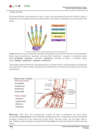 Escola Secundária de Montemor-o-Novo
Curso de Técnico de Apoio à Gestão
Desportiva
92 Estudo do Movimento/ Modulo1 – Osteologia e
Artrologia
Professora: SabinaTique
OSSOS DA MÃO
É possível distinguir vários sectores na mão: o carpo, que corresponde à zona que constitui o pulso; o
metacarpo, que corresponde àzona da palma damão; e,por último, asfalanges, que correspondem aos
dedos.
Carpo.Esta zona,que corresponde à do pulso, é formada por oito ossos curtos com uma forma distinta.
Estes ossos encontram-se dispostos em duas filas horizontais: a superior é constituída pelos
ossos escafoide, semilunar, piramidal e pisiforme, enquanto a inferior é formada pelos
ossos trapézio, trapezoide, capitado eunciforme.
Todos estes ossosencontram-se articuladosentre sie, para além disso, osdafila superior encontram-se
articulados com ocúbito eorádio,enquanto que osda filainferior encontram-se articulados com osossos
metacárpicos.
Metacarpo. Esta zona, que corresponde à palma da mão, é constituída por cinco ossos
denominados metacárpicos,um por cada dedo,designados de Ia V, começando pelo que corresponde
ao polegar e terminando no que corresponde ao dedo mínimo. São ossos longos, com uma diáfise central e
duas epífises, sendo asuperior ou proximaldenominada base,enquanto que ainferior ou distai,comuma
forma
 