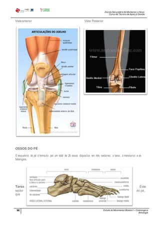 Escola Secundária de Montemor-o-Novo
Curso de Técnico de Apoio à Gestão
Desportiva
98 Estudo do Movimento/ Modulo1 – Osteologia e
Artrologia
Professora: SabinaTique
Vista anterior Vista Posterior
OSSOS DO PÉ
O esqueleto do pé é formado por um total de 26 ossos dispostos em três sectores: o tarso, o metatarso e as
falanges.
Tarso. Este
sector do pé,
que
 