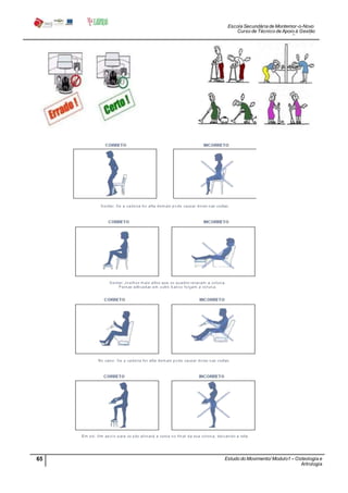 Escola Secundária de Montemor-o-Novo
Curso de Técnico de Apoio à Gestão
Desportiva
65 Estudo do Movimento/ Modulo1 – Osteologia e
Artrologia
Professora: SabinaTique
 