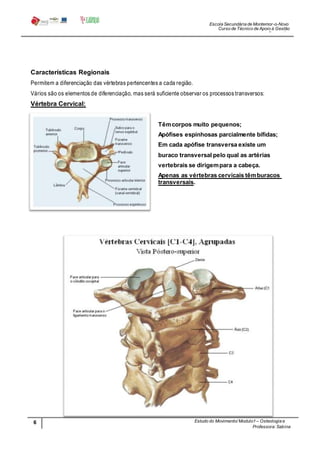 Escola Secundária de Montemor-o-Novo
Curso de Técnico de Apoio à Gestão
Desportiva
Professora: Sabina
Tique
Características Regionais
Permitem a diferenciação das vértebras pertencentes a cada região.
Vários são os elementos de diferenciação, mas será suficiente observar os processos transversos:
Vértebra Cervical:
Têmcorpos muito pequenos;
Apófises espinhosas parcialmente bífidas;
Em cada apófise transversa existe um
buraco transversal pelo qual as artérias
vertebrais se dirigempara a cabeça.
Apenas as vértebras cervicais têmburacos
transversais.
6
8
Estudo do Movimento/ Modulo1– Osteologia e
Artrologia
 