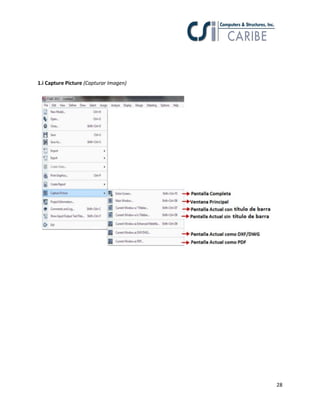 28
1.i Capture Picture (Capturar Imagen)
 