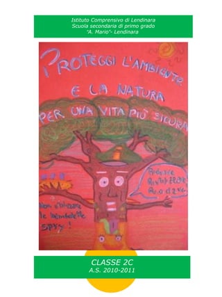 Istituto Comprensivo di Lendinara Scuola secondaria di primo grado “ A. Mario ” - Lendinara  CLASSE 2C A.S. 2010-2011 