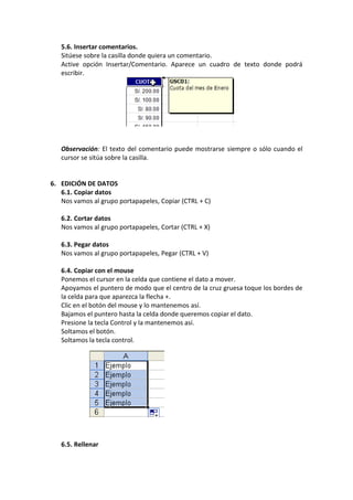 5.6. Insertar comentarios.
   Sitúese sobre la casilla donde quiera un comentario.
   Active opción Insertar/Comentario. Aparece un cuadro de texto donde podrá
   escribir.




   Observación: El texto del comentario puede mostrarse siempre o sólo cuando el
   cursor se sitúa sobre la casilla.


6. EDICIÓN DE DATOS
   6.1. Copiar datos
   Nos vamos al grupo portapapeles, Copiar (CTRL + C)

   6.2. Cortar datos
   Nos vamos al grupo portapapeles, Cortar (CTRL + X)

   6.3. Pegar datos
   Nos vamos al grupo portapapeles, Pegar (CTRL + V)

   6.4. Copiar con el mouse
   Ponemos el cursor en la celda que contiene el dato a mover.
   Apoyamos el puntero de modo que el centro de la cruz gruesa toque los bordes de
   la celda para que aparezca la flecha +.
   Clic en el botón del mouse y lo mantenemos así.
   Bajamos el puntero hasta la celda donde queremos copiar el dato.
   Presione la tecla Control y la mantenemos así.
   Soltamos el botón.
   Soltamos la tecla control.




   6.5. Rellenar
 