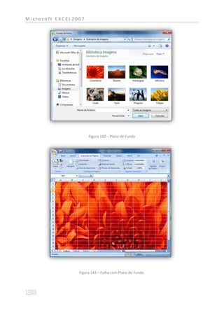 Microsoft EXCEL2007




                      Figura 142 – Plano de Fundo




                 Figura 143 – Folha com Plano de Fundo.
 